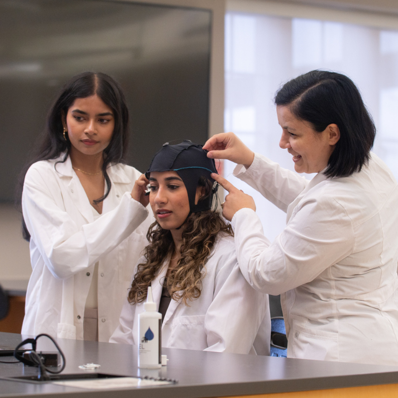 photos of students working together